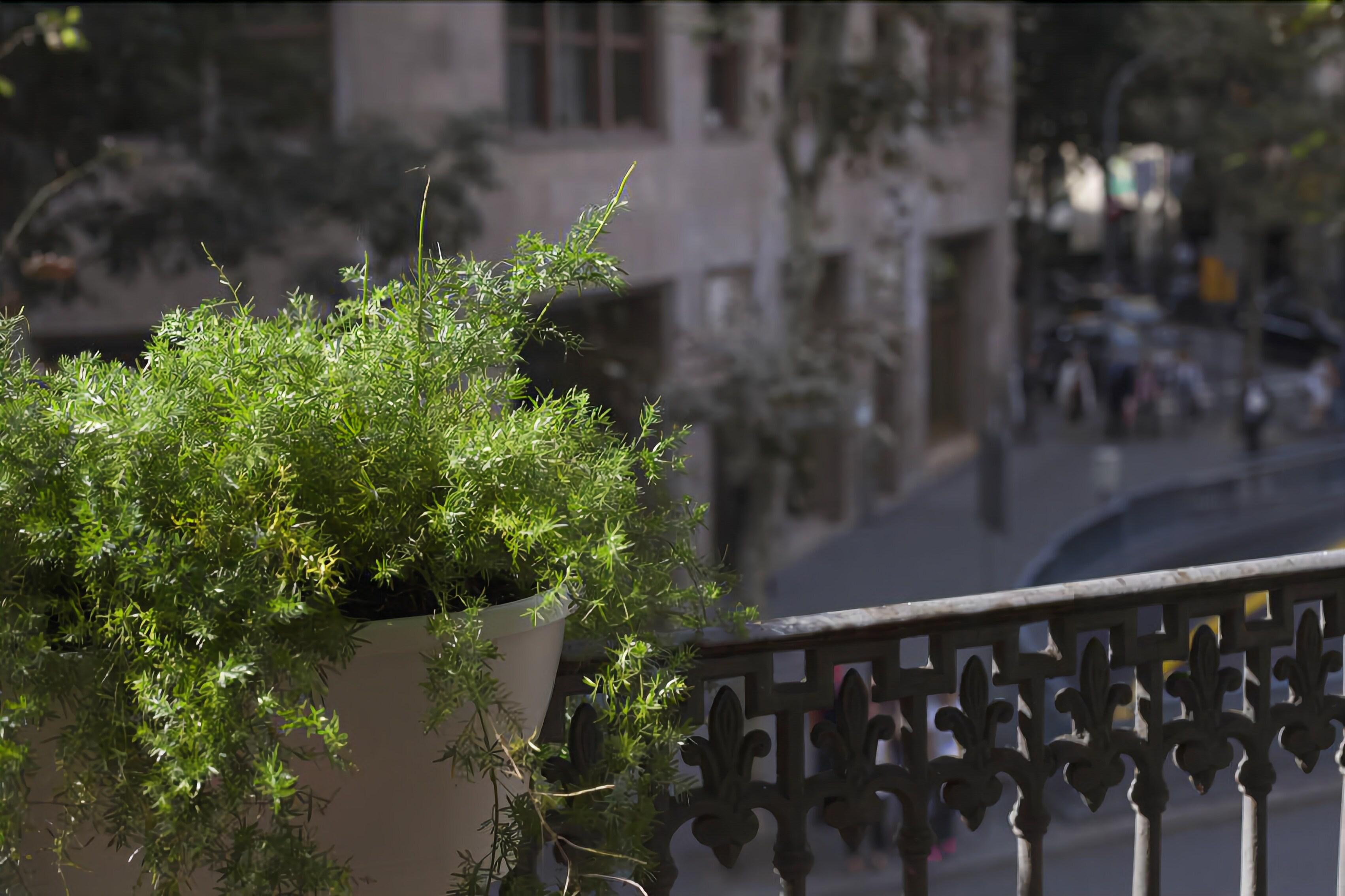 Amra Barcelona Caspe — Foto 3